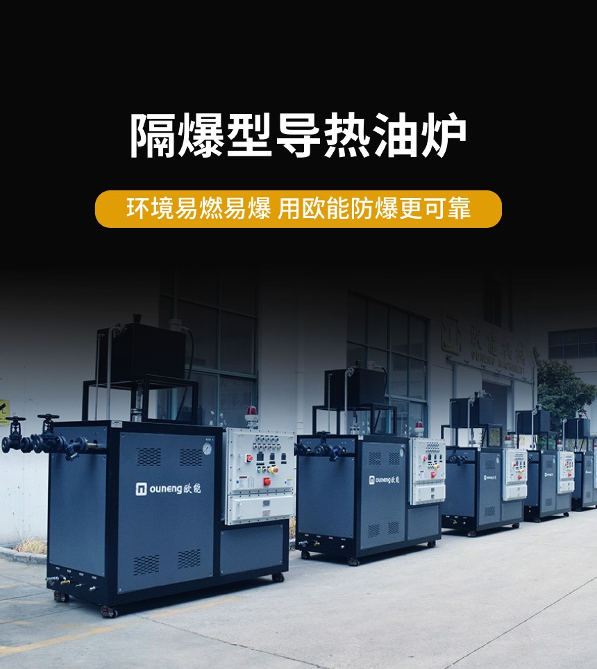 防爆电加热导热油炉